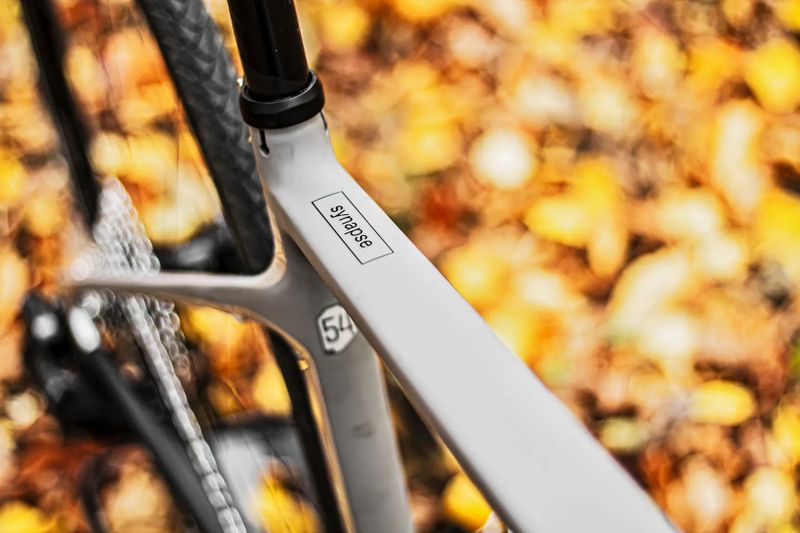 Cannondale Synapse, Sram Rival AXS 2x12, DT Swiss