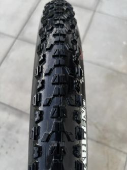 Maxxis Ardent 2.4 