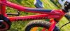 Specialized Riprock