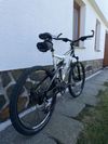 Bergamont Evolve ltd.