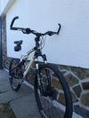 Bergamont Evolve ltd.