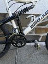 Bergamont Evolve ltd.