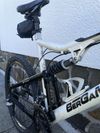 Bergamont Evolve ltd.