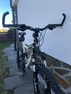 Bergamont Evolve ltd.