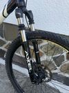 Bergamont Evolve ltd.