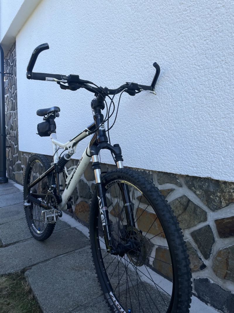 Bergamont Evolve ltd.