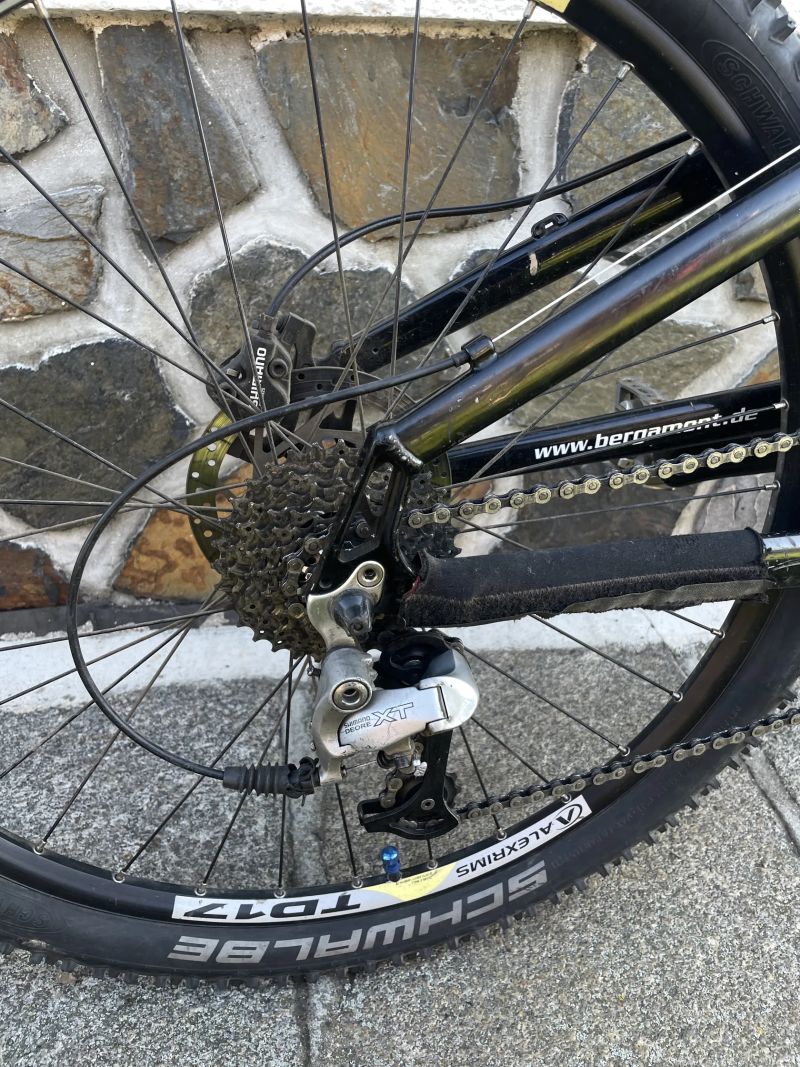 Bergamont Evolve ltd.
