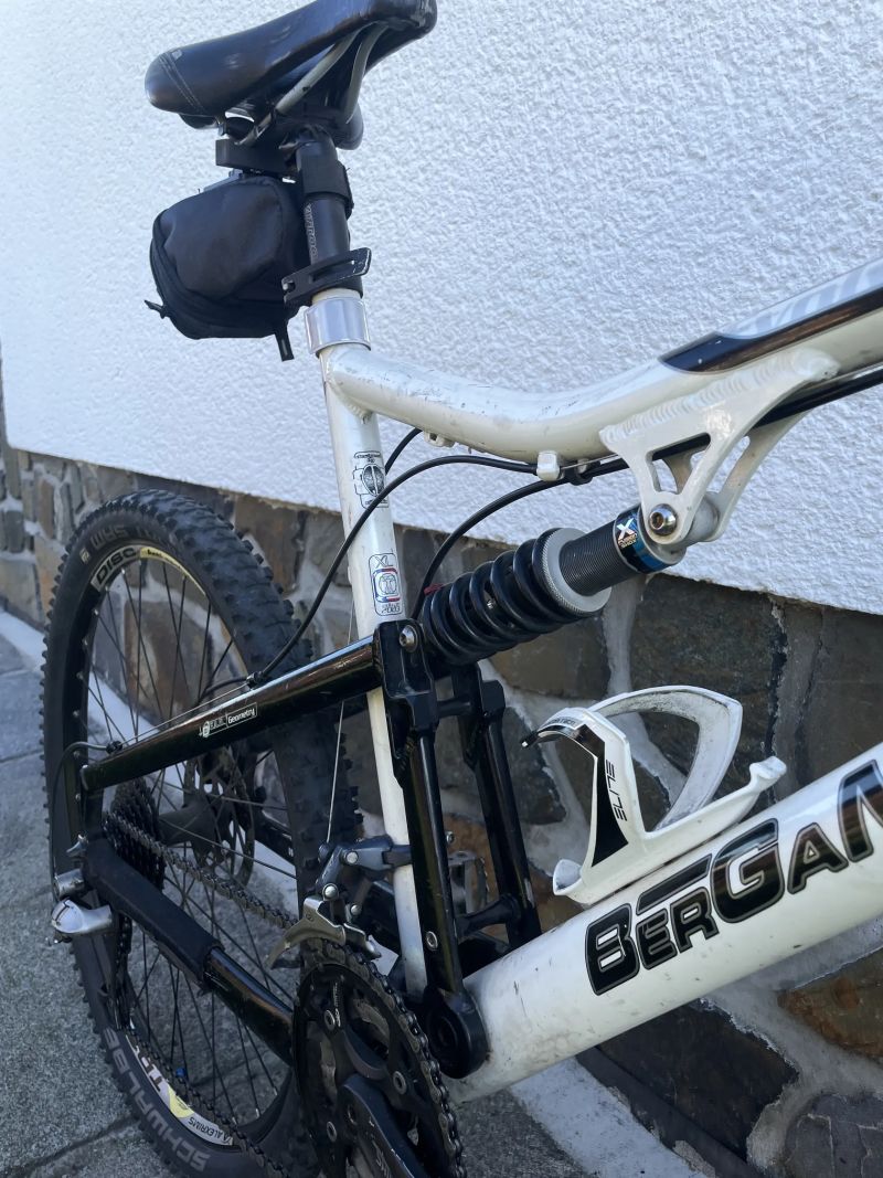 Bergamont Evolve ltd.