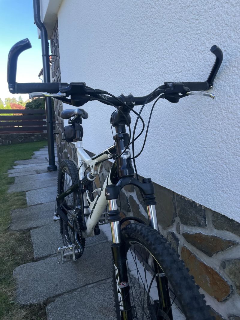 Bergamont Evolve ltd.