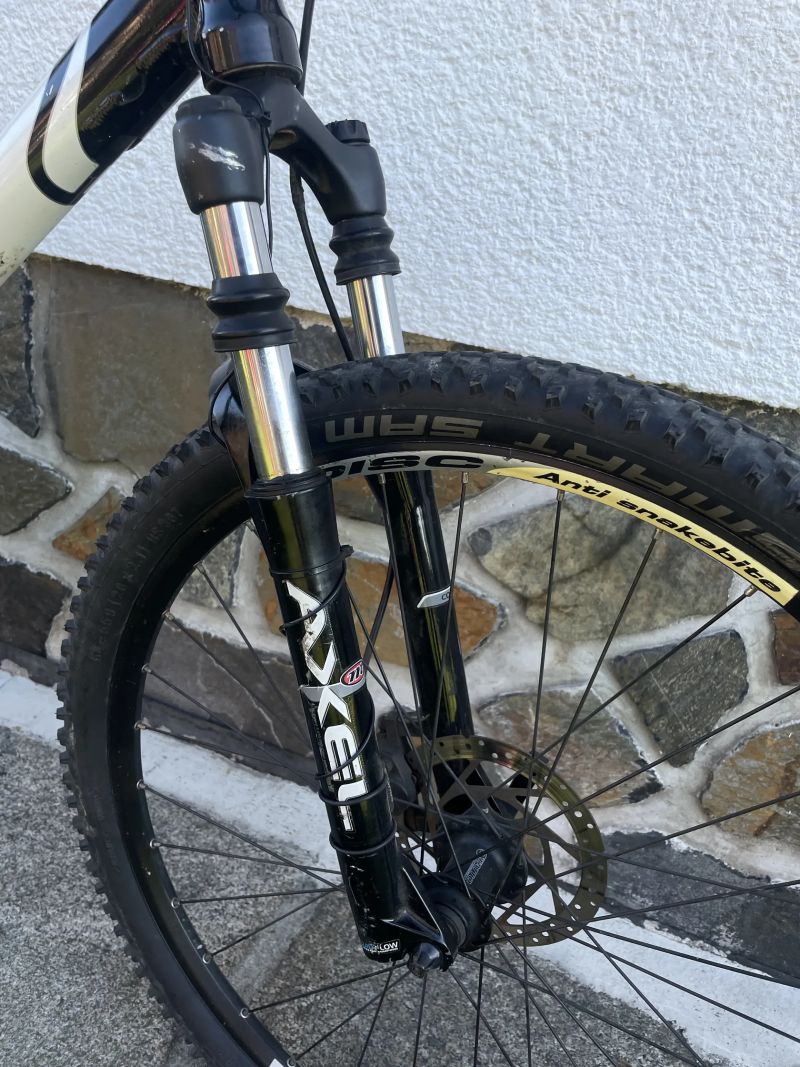 Bergamont Evolve ltd.