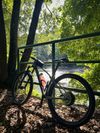 Trek Procaliber 9.5, Vidlice Reba 120mm, XT přehazovačka