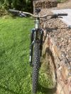 Ibis Ripmo V2