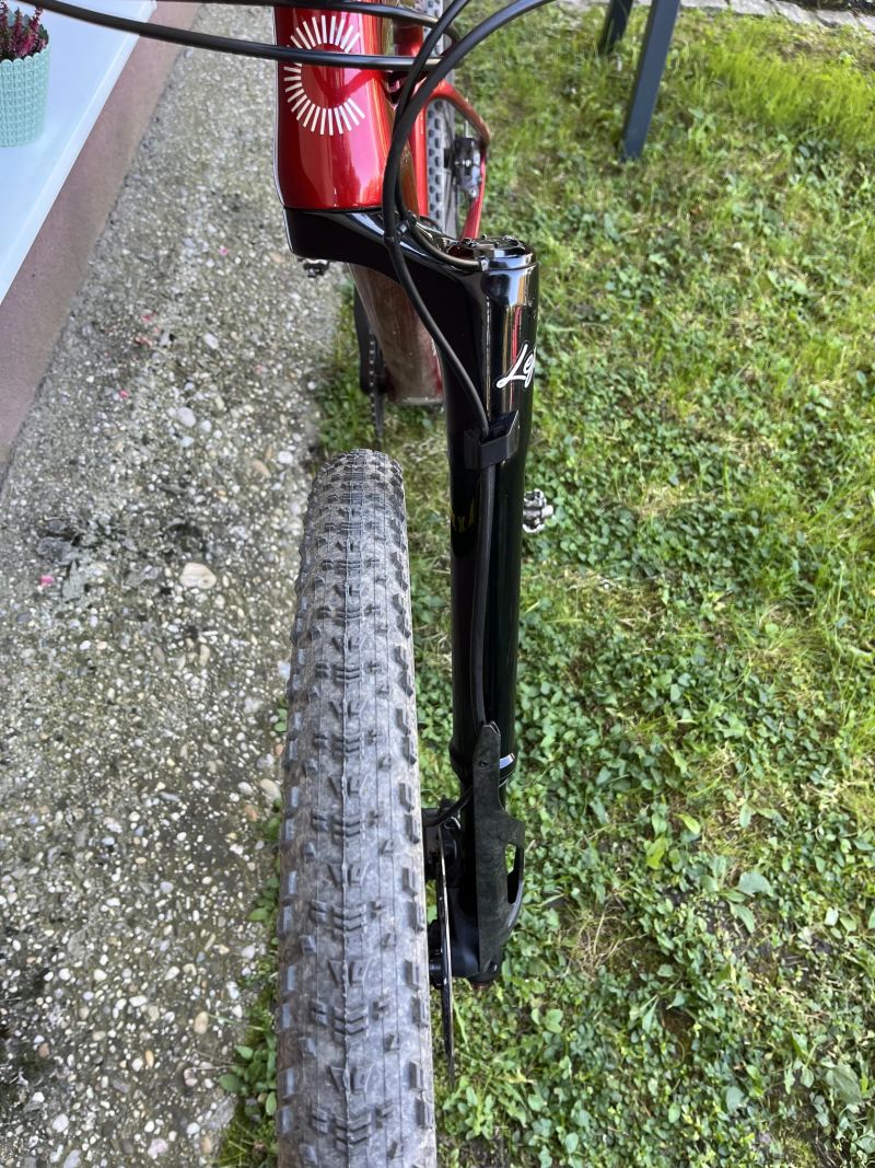 Cannondale Lefty ocho