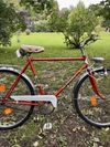 PUCH Jungmeister