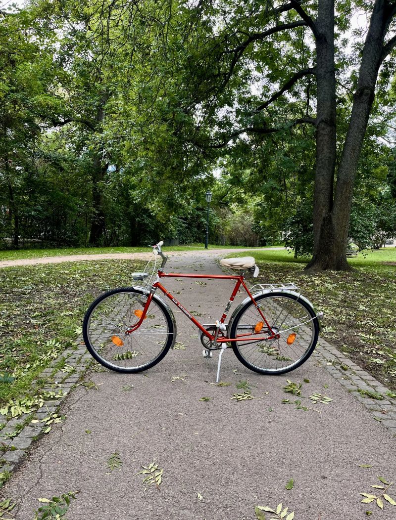 PUCH Jungmeister