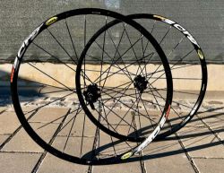 Kola Mavic Crossride Disc 26”