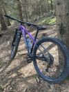 Trek Marlin 5 2024