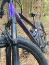 Trek Marlin 5 2024