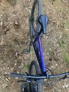 Trek Marlin 5 2024