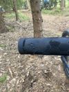 Trek Marlin 5 2024