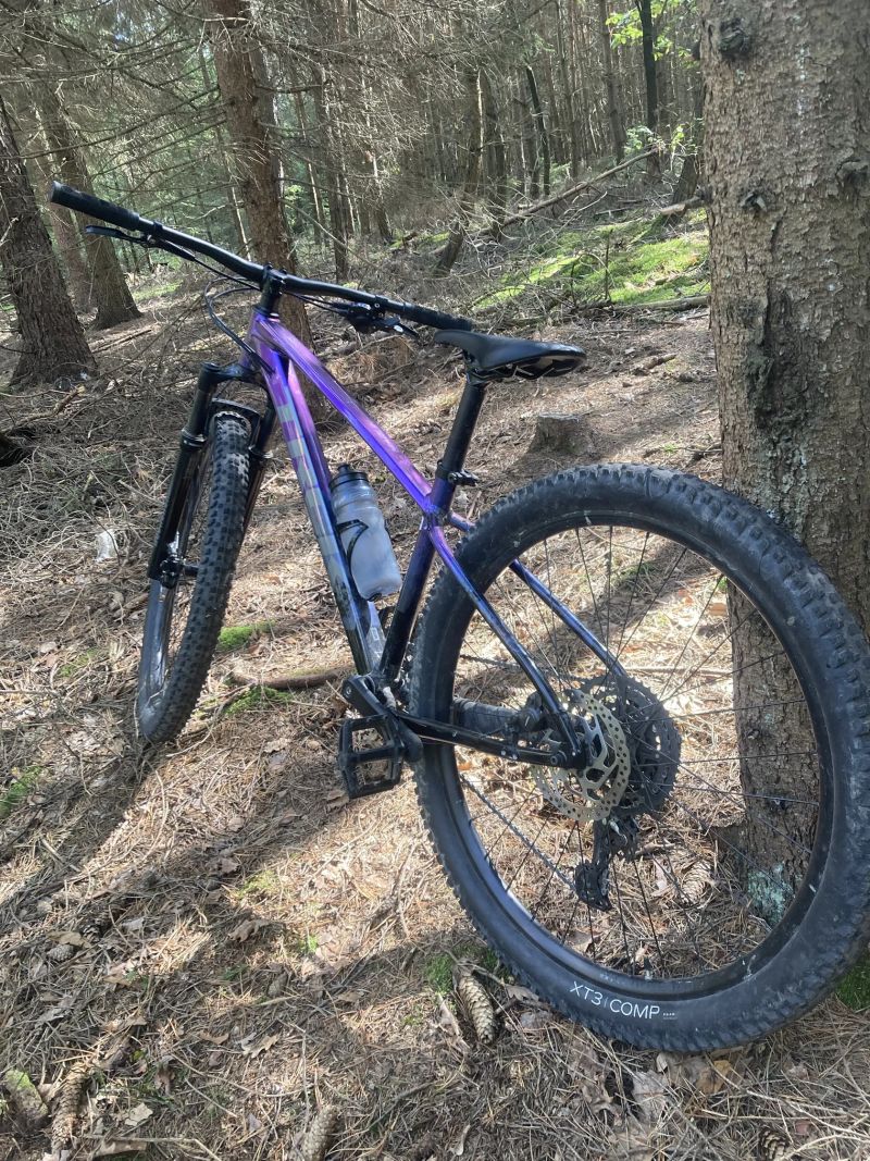 Trek Marlin 5 2024