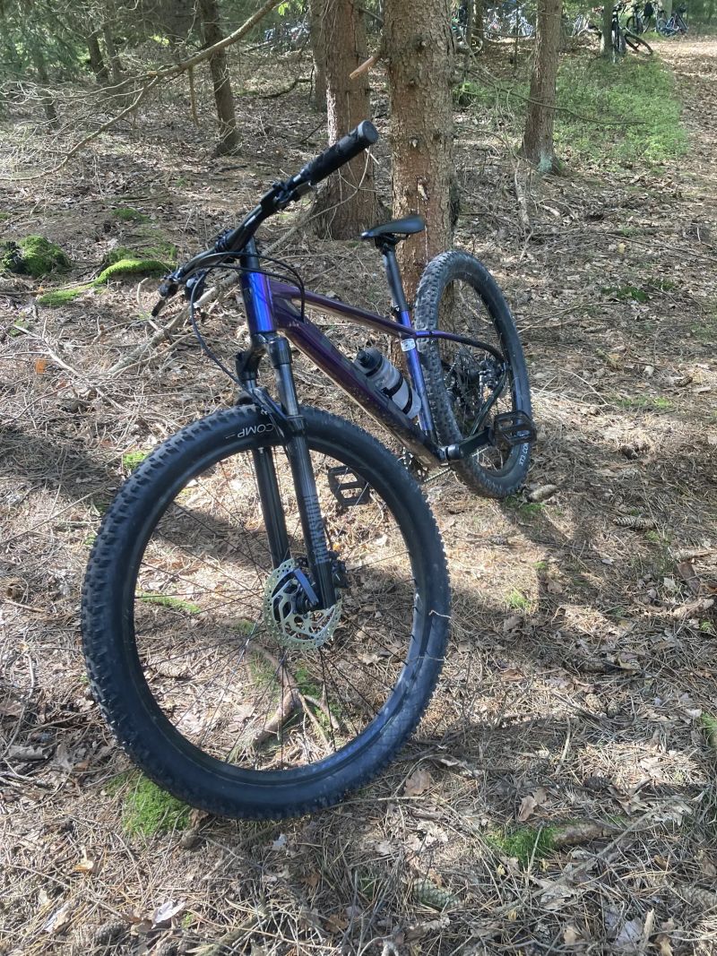 Trek Marlin 5 2024