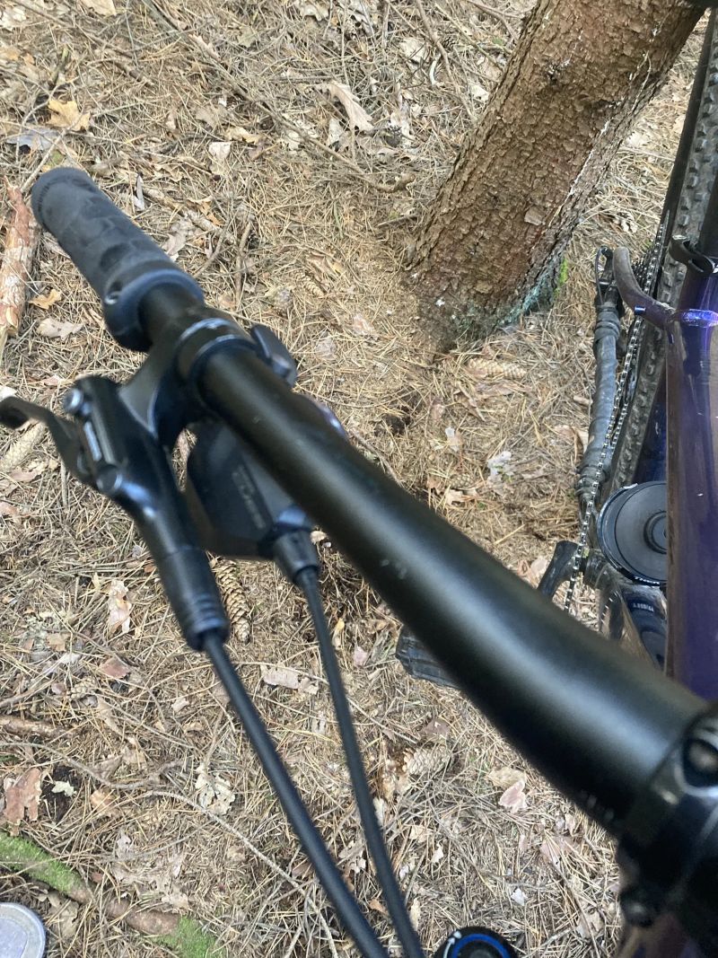 Trek Marlin 5 2024
