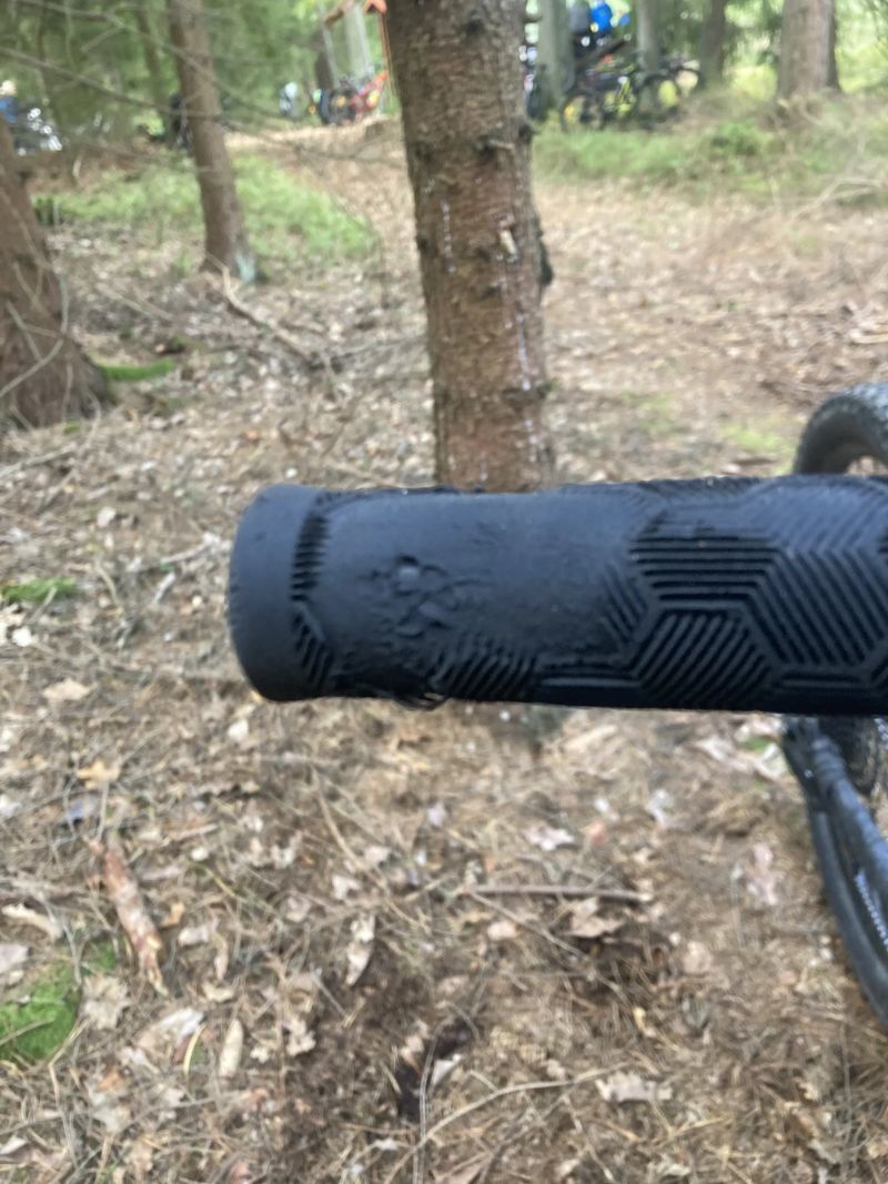 Trek Marlin 5 2024