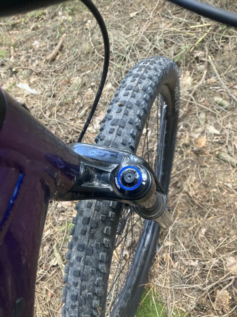 Trek Marlin 5 2024