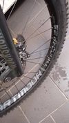 Kellys NOID 90 29" 