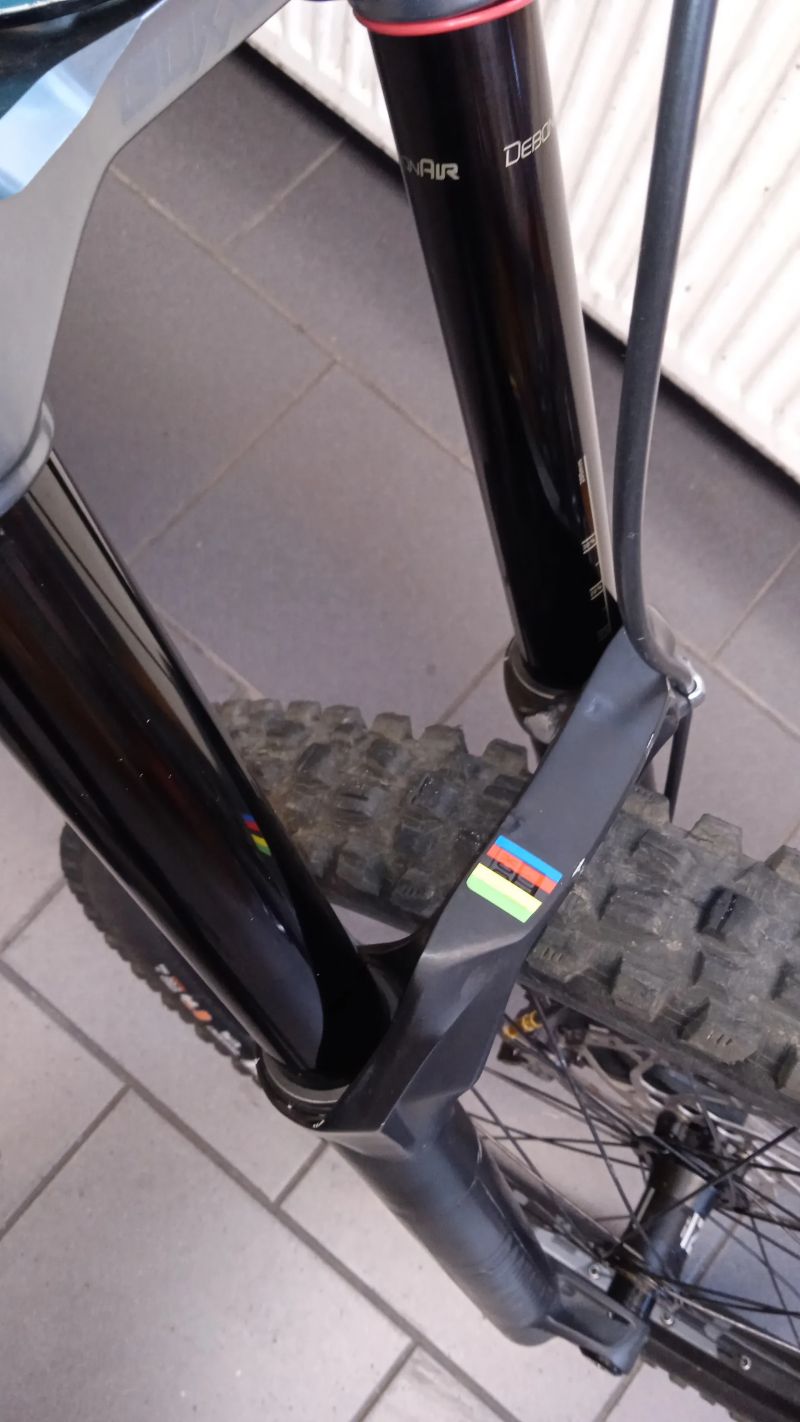 Kellys NOID 90 29" 