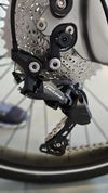 Trek Allant + 8 1x jeté 