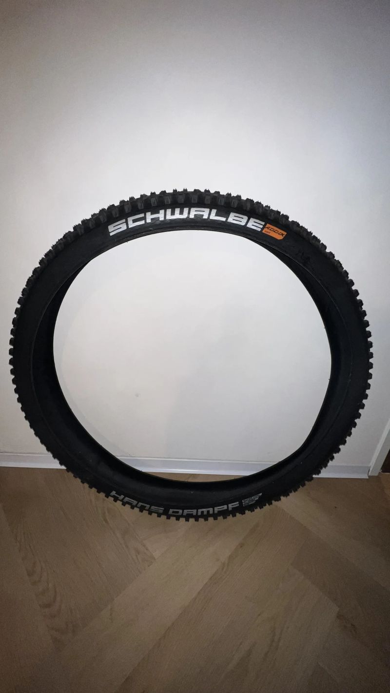Schwalbe