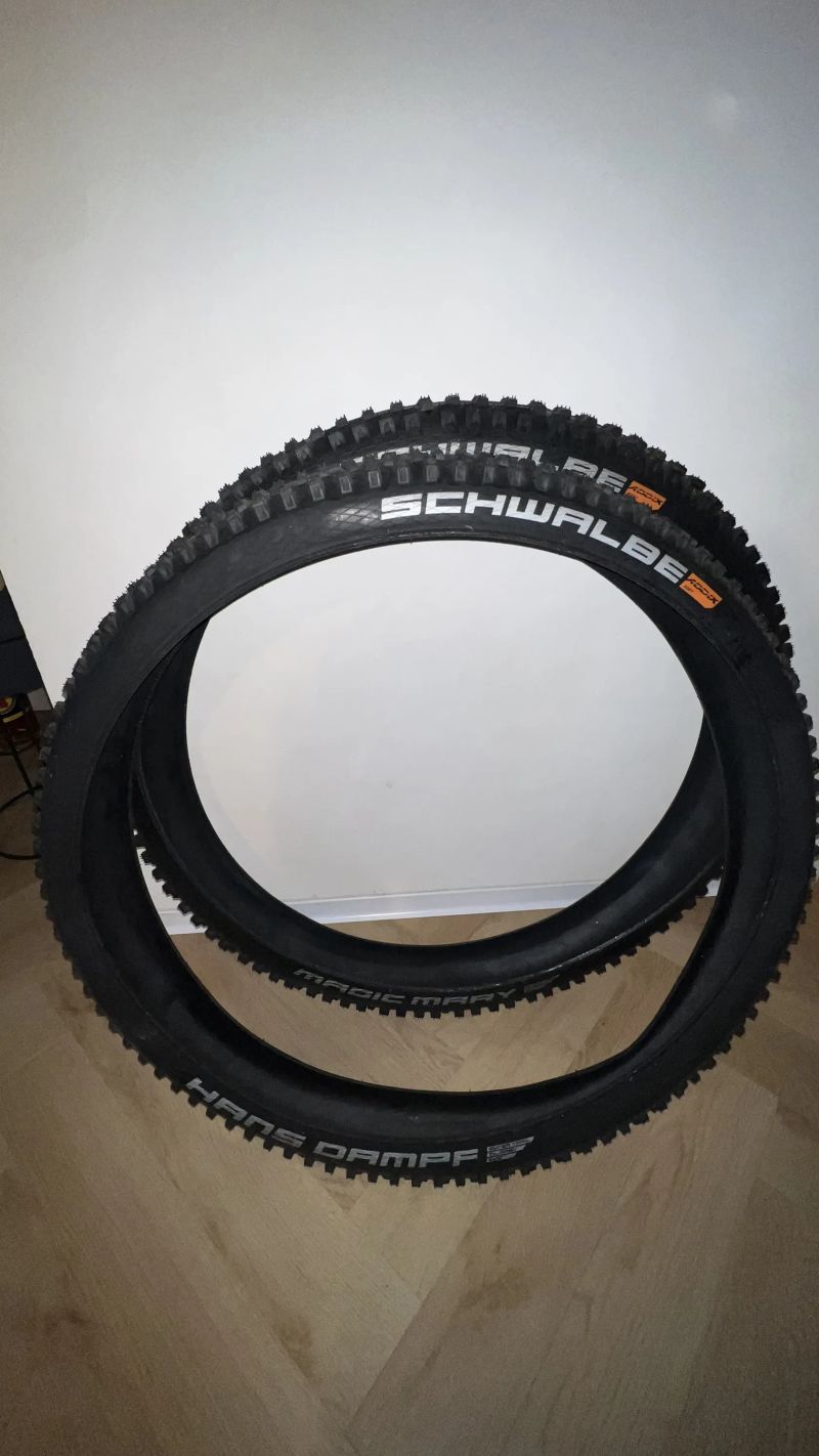Schwalbe