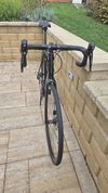 Canyon Endurace 7 Disc