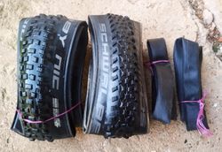Schwalbe EVO