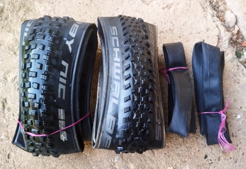 Schwalbe EVO