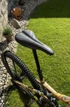 GT GT Sensor Carbon Elite