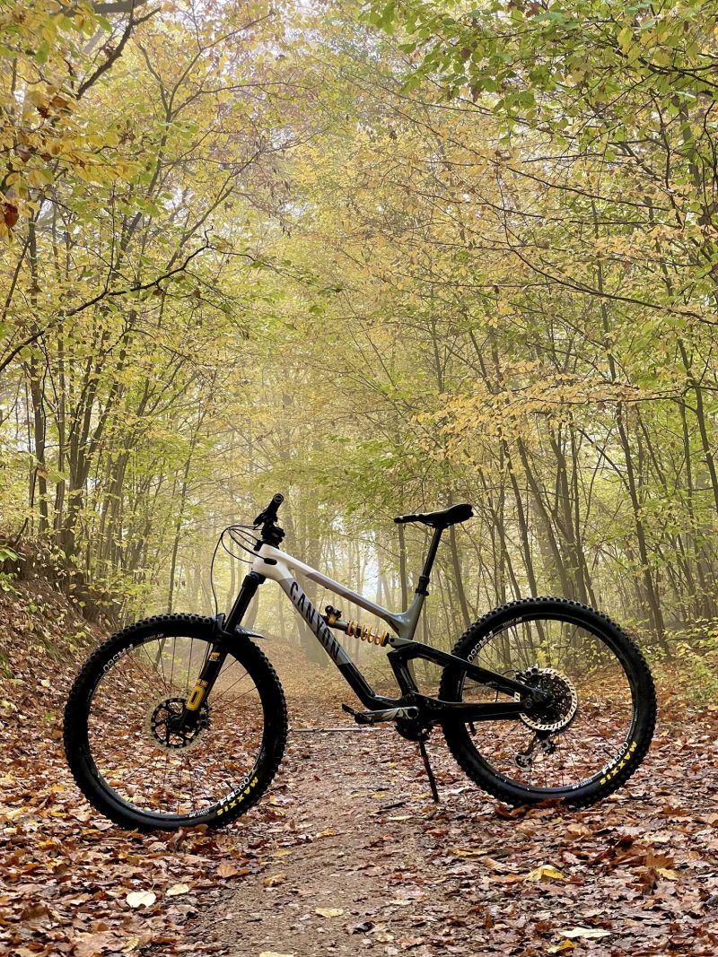 Canyon Torque Mullet CF CLLCTV Fabio Wibmer