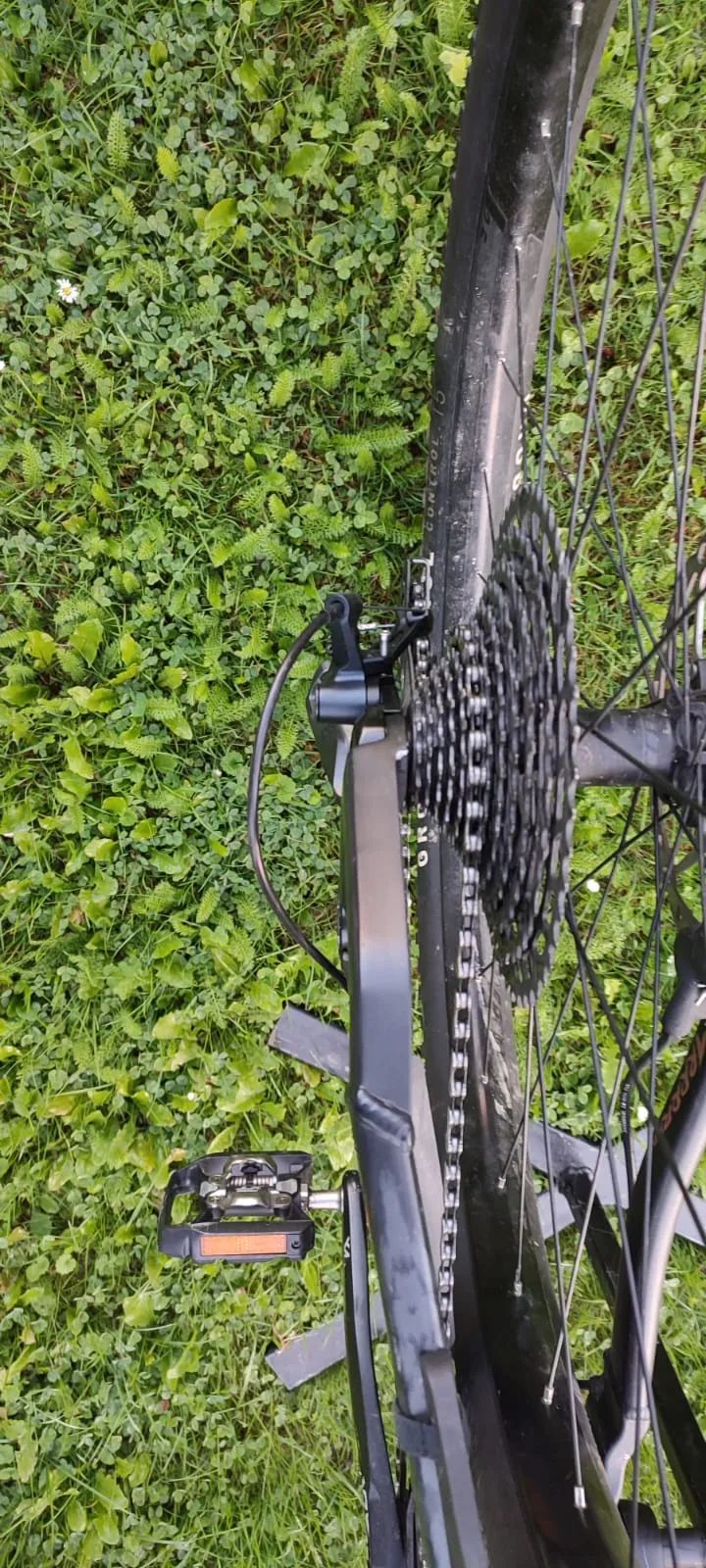 Bergamont Trailster 8