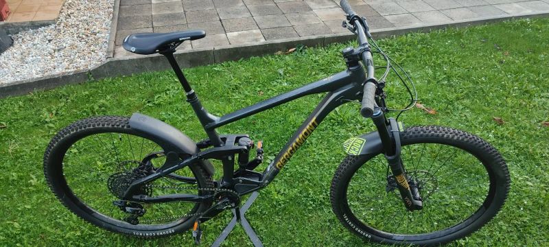 Bergamont Trailster 8