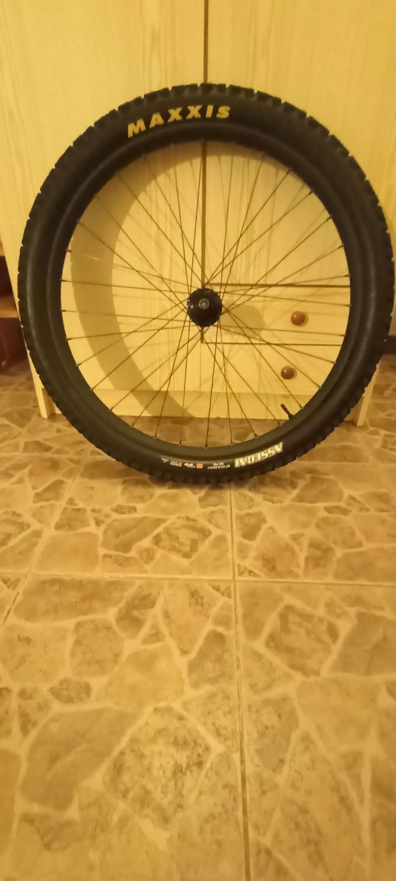 DT Swiss FR560
