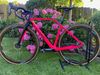 Canyon INFLITE CF SLX