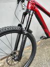 Trek Slash