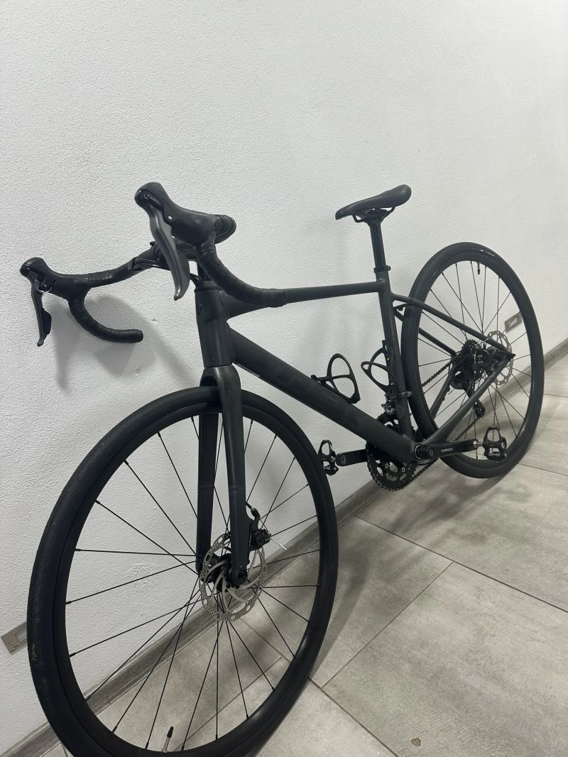 Trek Domane AL 2 Gen 4 Matte Lithium Grey vel.52