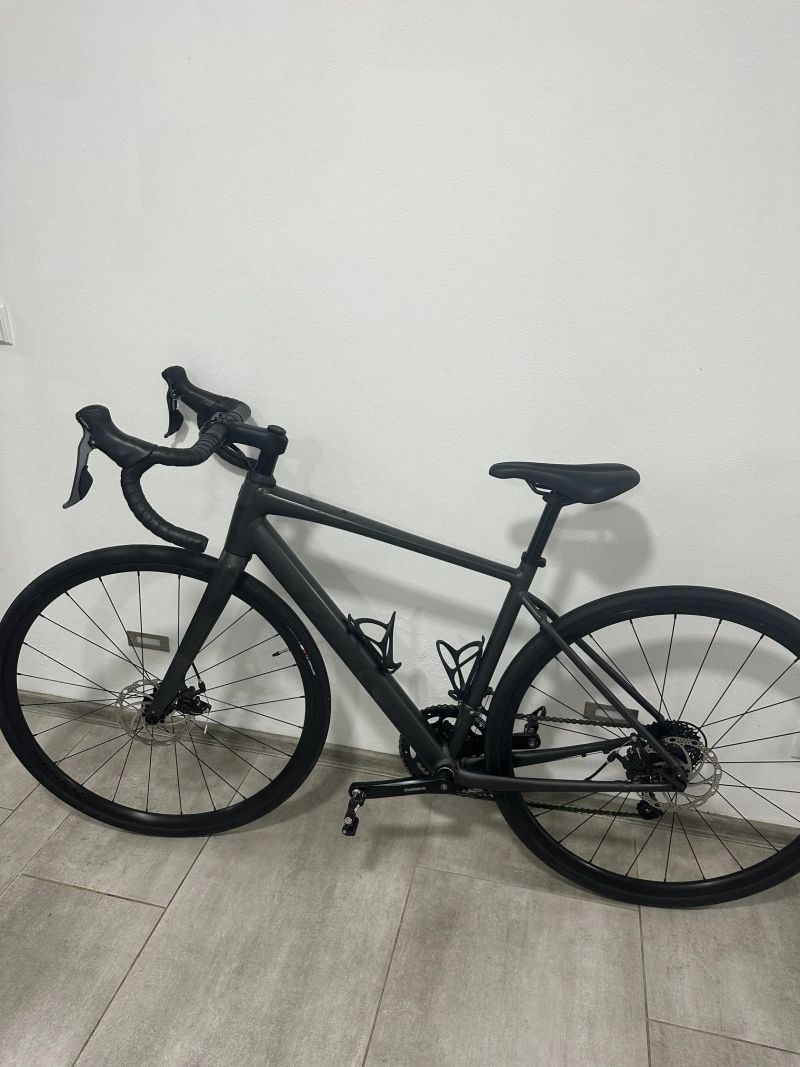 Trek Domane AL 2 Gen 4 Matte Lithium Grey vel.52