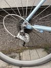 Giant TCR