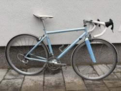 Giant TCR