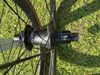 Zipp 303 Firecrest, XDr, Schwalbe Pro One 34mm