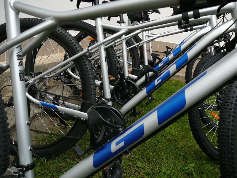 GT Expert
